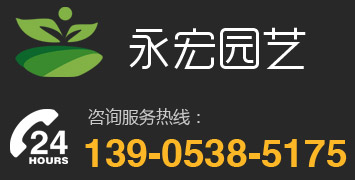 泰安市泰山區永宏園藝場